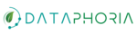 Dataphoria Logo